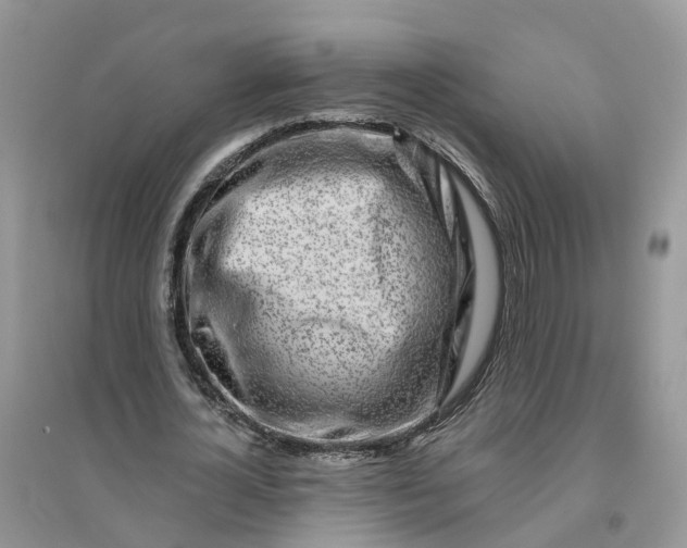 X0000096170724200802011318