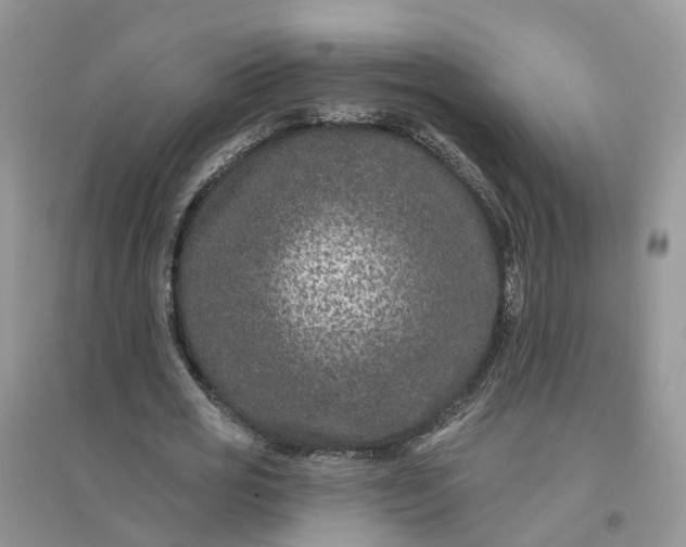 X0000096170725200802011318