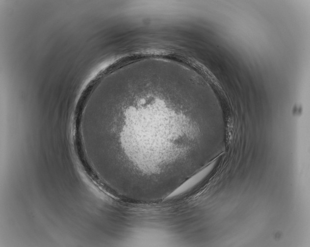 X0000096170726200802011318