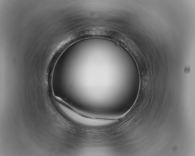 X0000096170727200802011318