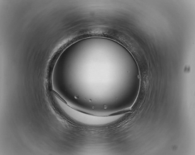 X0000096170728200802011318