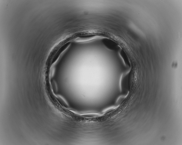 X0000096170730200802011318