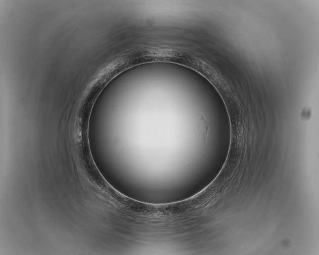 X0000096170731200802011318