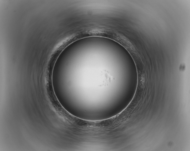 X0000096170732200802011318