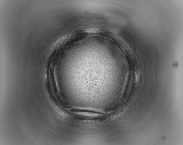 X0000096170733200802011318