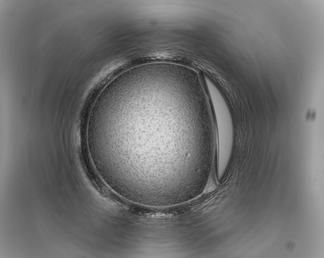 X0000096170734200802011318