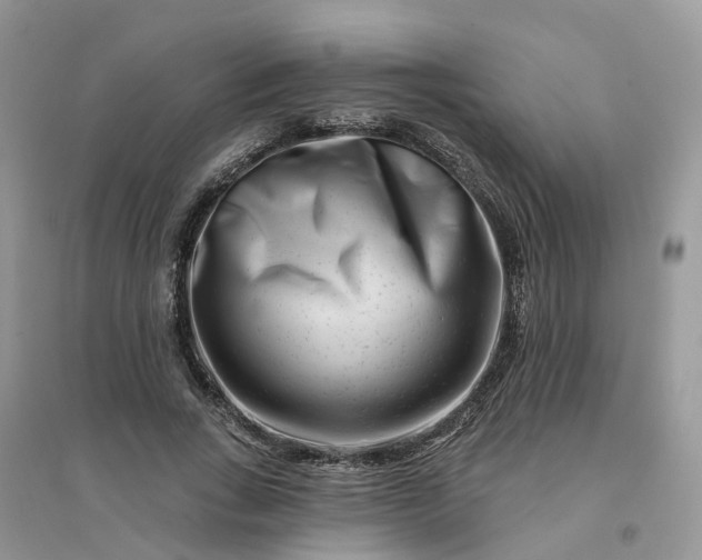 X0000096170735200802011318