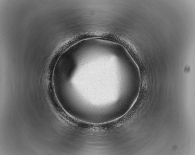 X0000096170736200802011318