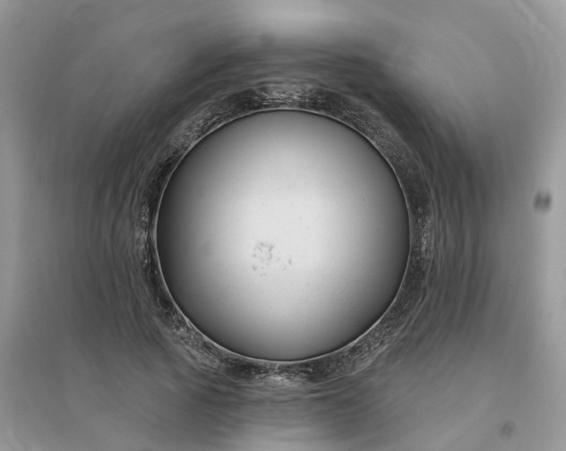 X0000096170737200802011318