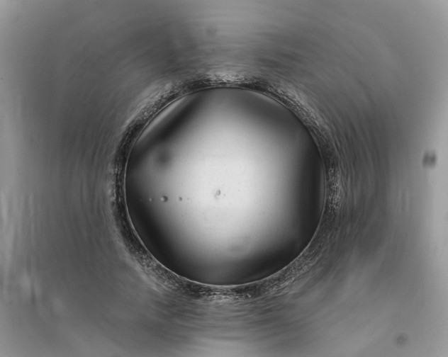 X0000096170738200802011318