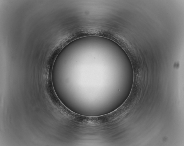 X0000096170739200802011318