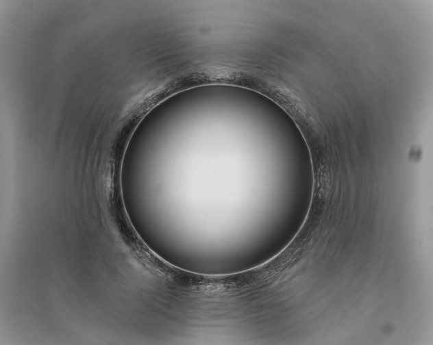 X0000096170740200802011318