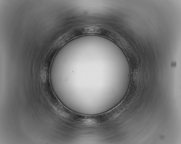 X0000096170741200802011318