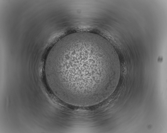 X0000096170742200802011318