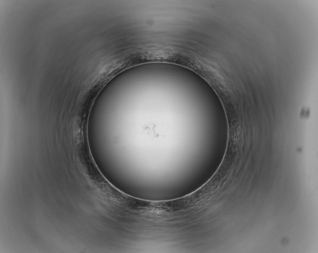 X0000096170743200802011318