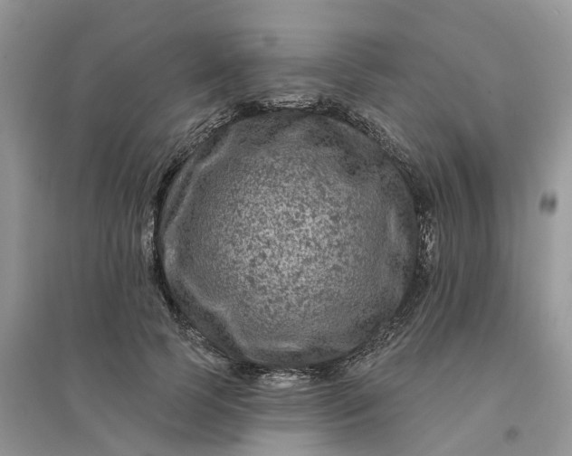 X0000096170745200802011318