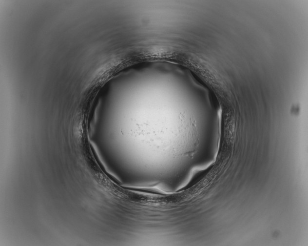 X0000096170746200802011318