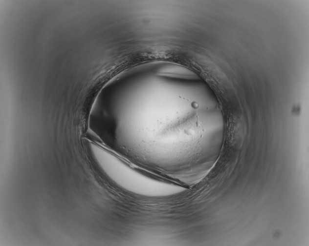 X0000096170747200802011318