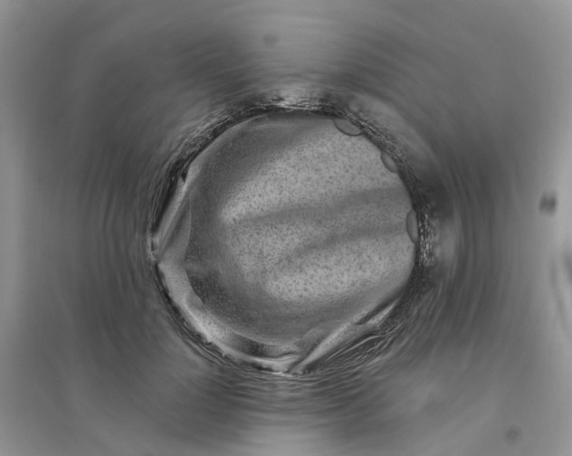 X0000096170748200802011318