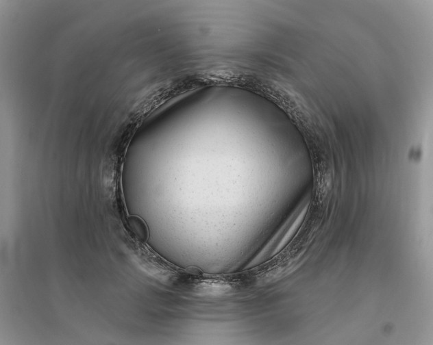 X0000096170749200802011318