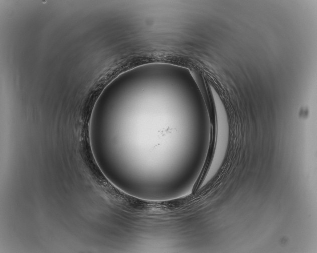 X0000096170750200802011318