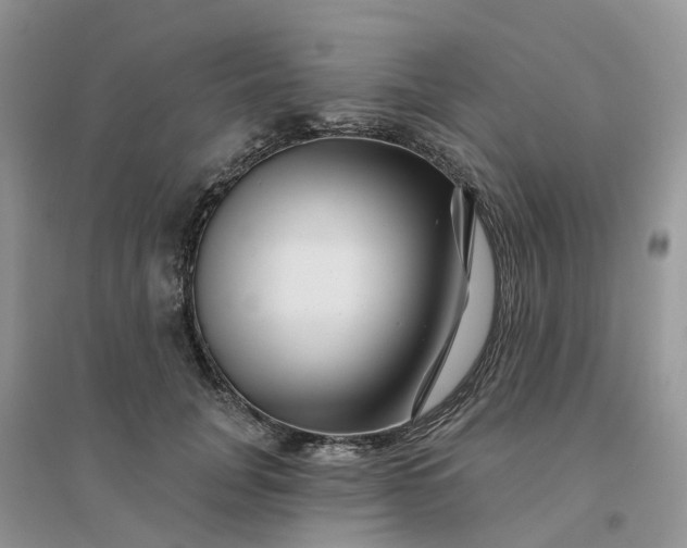 X0000096170751200802011318