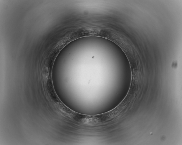 X0000096170752200802011318