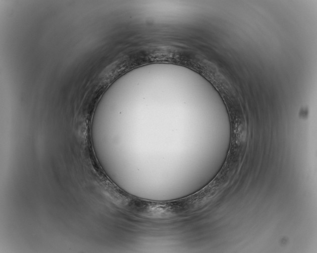 X0000096170753200802011318