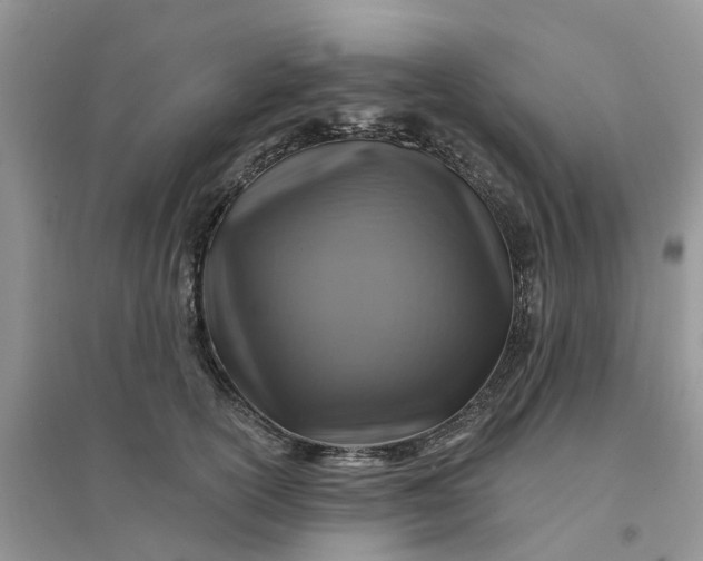 X0000096170754200802011318