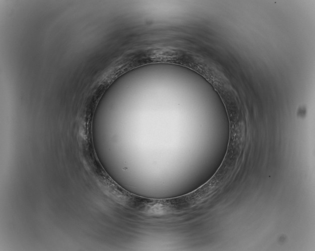 X0000096170755200802011318