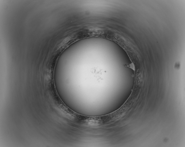 X0000096170756200802011318