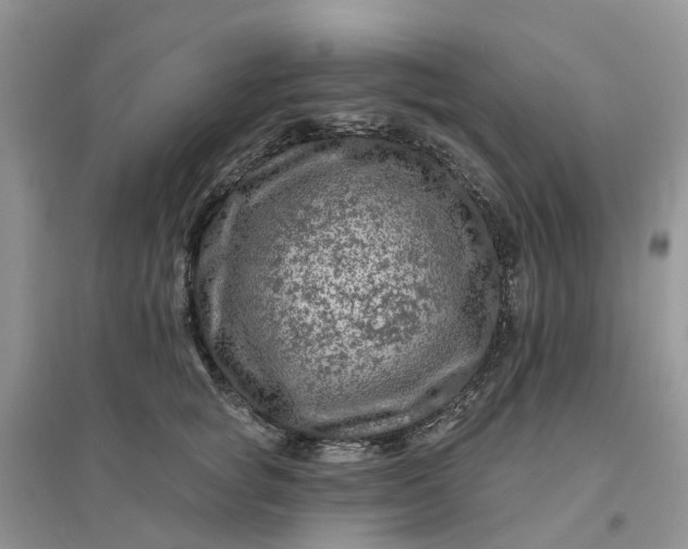 X0000096170757200802011318