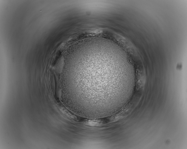 X0000096170758200802011318