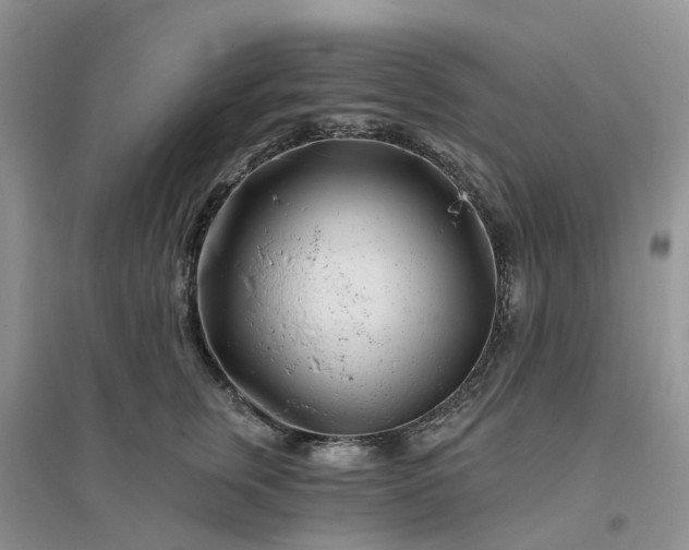 X0000096170759200802011318