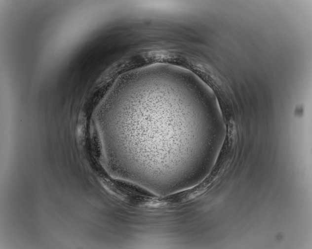 X0000096170760200802011318