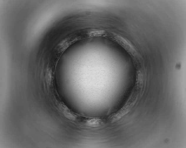 X0000096170761200802011318