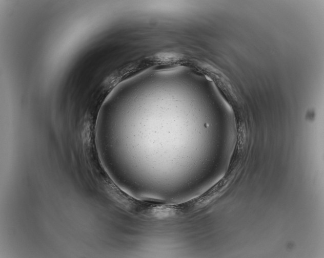 X0000096170762200802011318