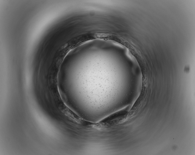 X0000096170763200802011318