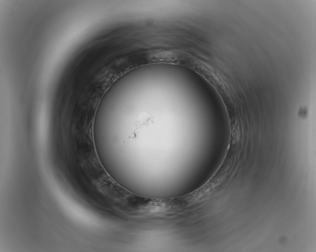 X0000096170764200802011318