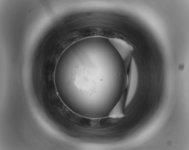 X0000096170766200802011318