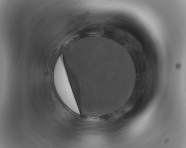 X0000096170767200802011318