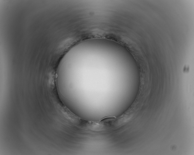 X0000096170768200802011318