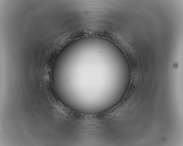 X0000096170770200802011317