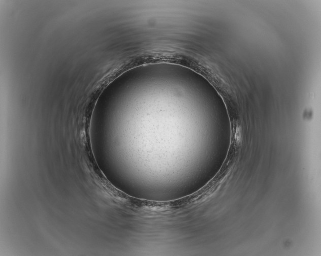 X0000096170771200802011317