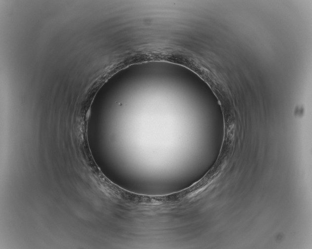 X0000096170772200802011317