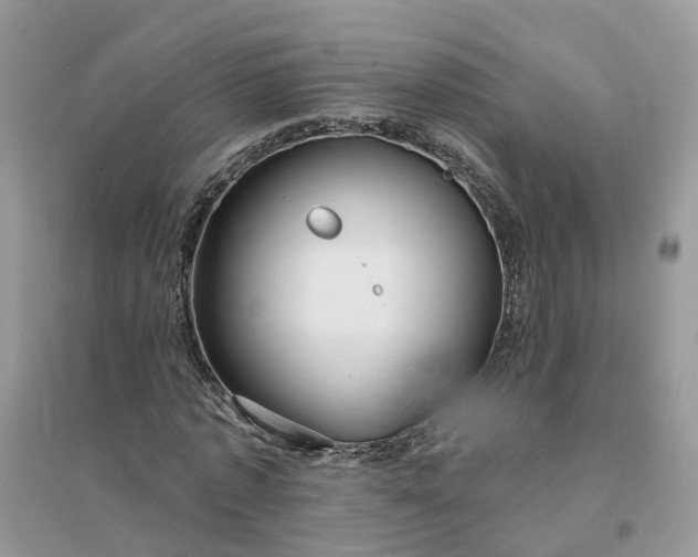 X0000096170773200802011317