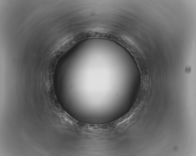 X0000096170774200802011317