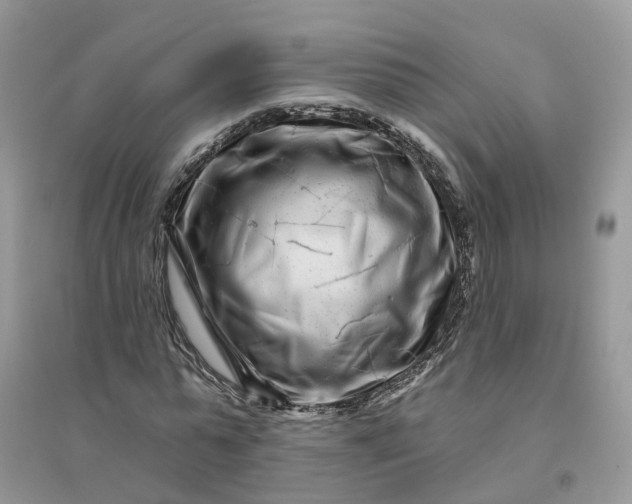 X0000096170775200802011317