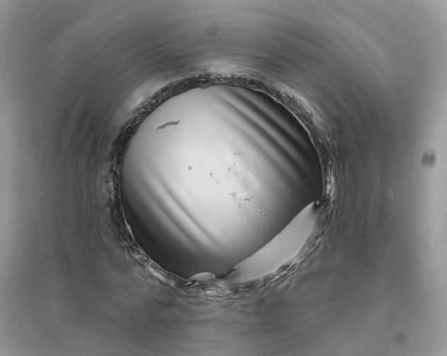 X0000096170776200802011317