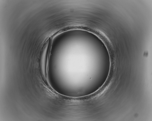 X0000096170777200802011317